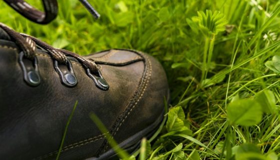 Hiking Boots