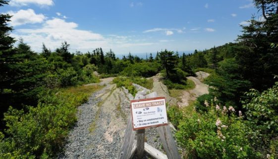 leave no trace