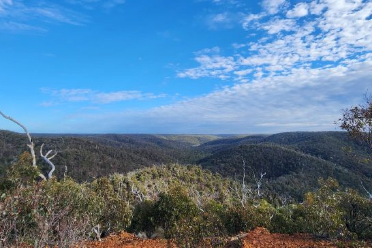 Anakie Gorge Walk