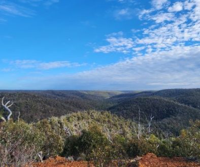 Anakie Gorge Walk