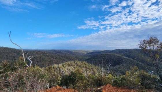 Brisbane Ranges (5) Anakie Gorge Walk