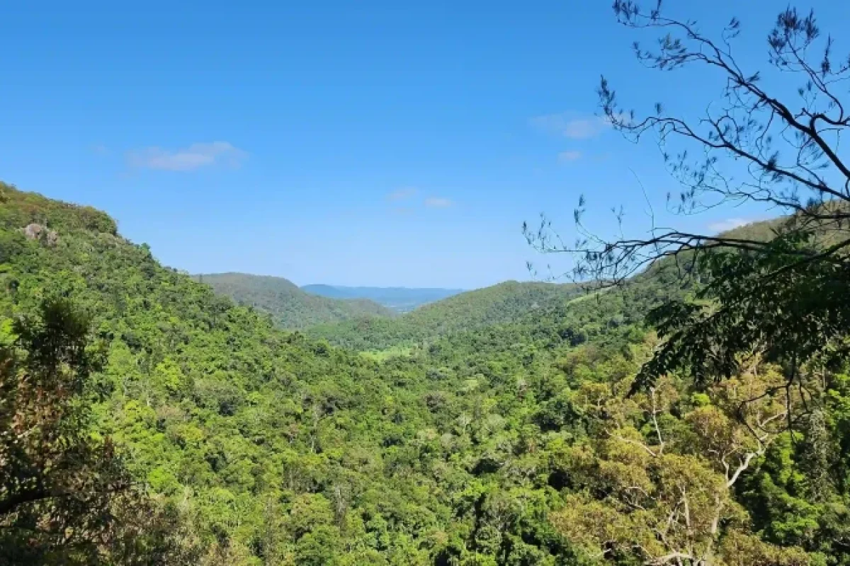 Kondalilla Falls