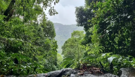 Lower Ballanjui Falls