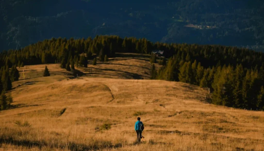 Mental Health Benefits Of Hiking