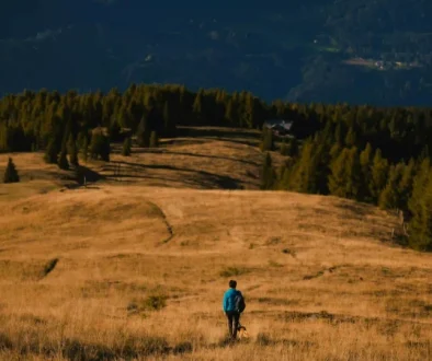 Mental Health Benefits Of Hiking