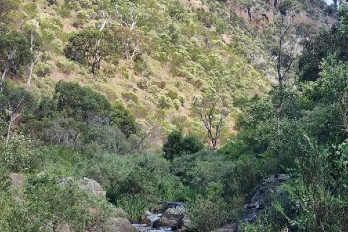 Werribee Gorge
