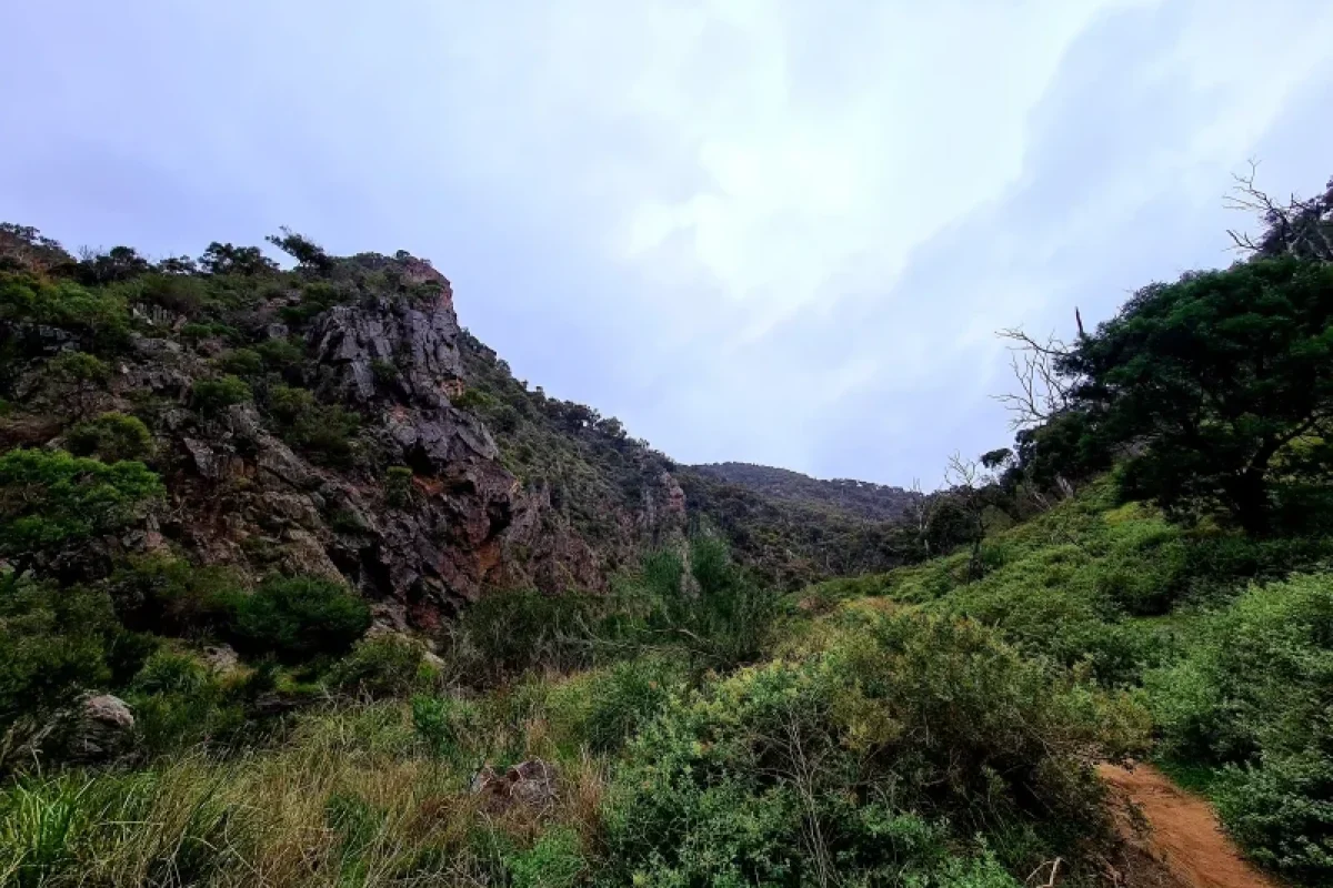 Werribee Gorge