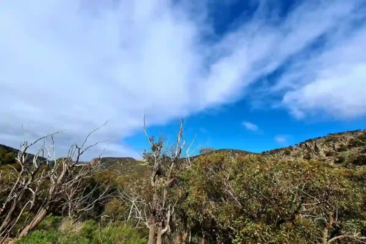 Werribee Gorge (12) Werribee Gorge