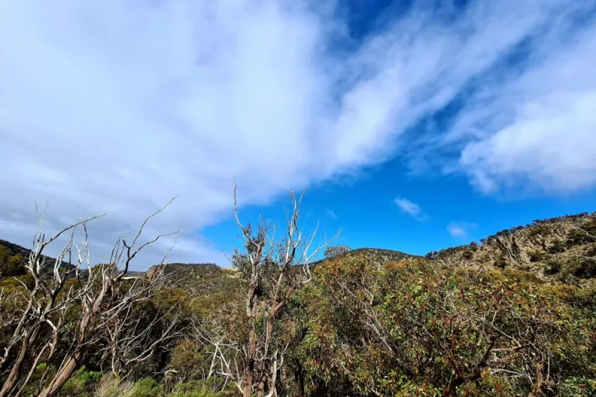Werribee Gorge