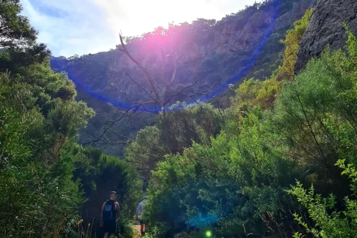 Werribee Gorge