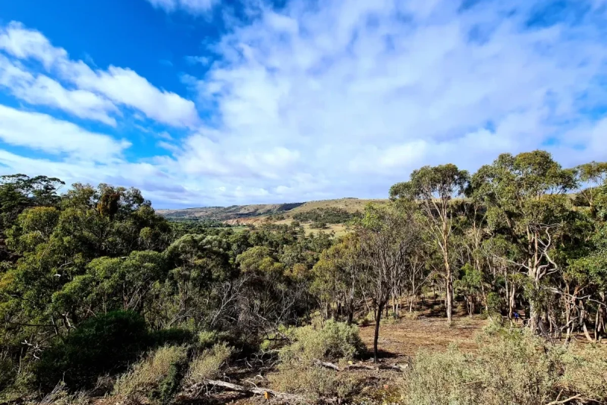 Werribee Gorge