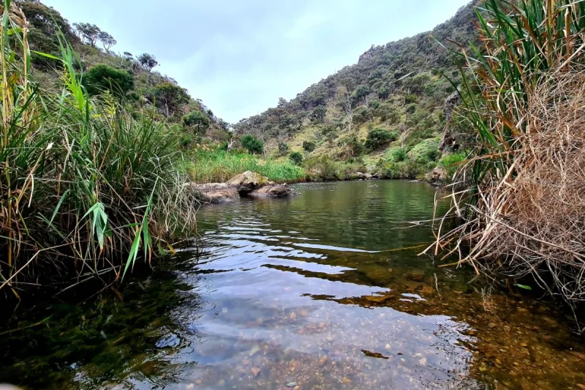 Werribee Gorge