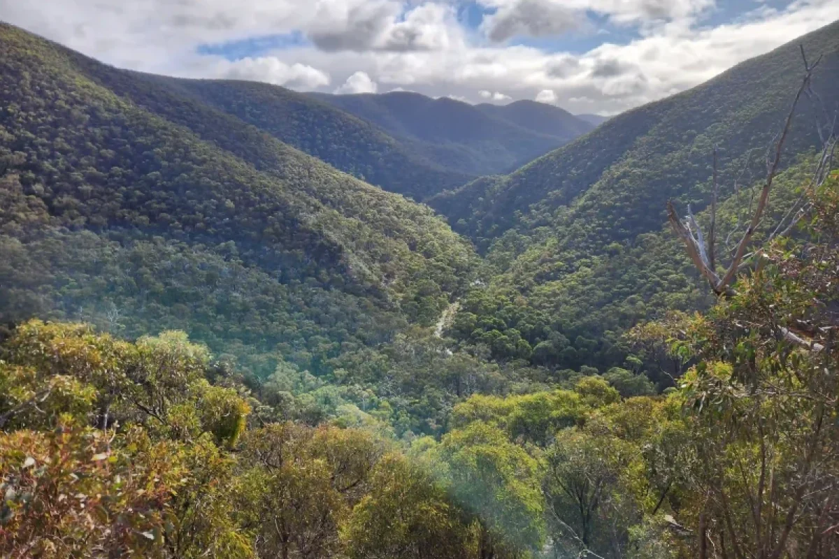 Lerderderg Gorge